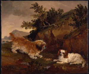 Landscape with spaniel and terrier