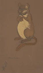 Dormouse costume design for Alice-in-Wonderland