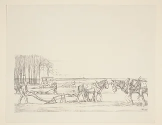 Ploughing the land