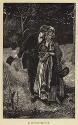 In the Wood