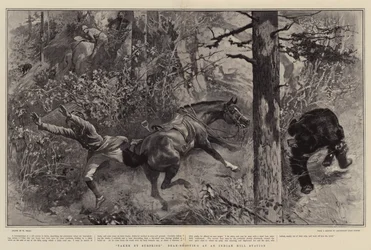 Taken by Surprise, Bear-Shooting at an Indian Hill Station