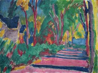 Wooded Road