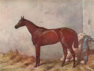 Hermit: winner of the Derby Stakes at Epsom, 1867, 1903