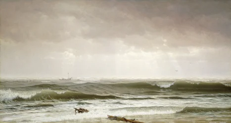 Along the Shore