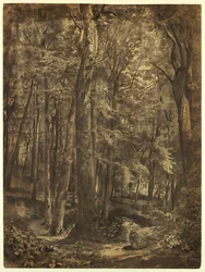 In the Woods, Study for Painting, June Woods, New York Historical Society, on Loan from the New York Public Library, 1864