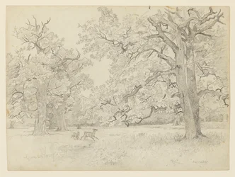 Landscape, Darmstadt, Germany