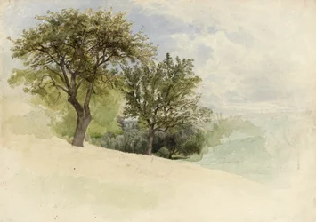 Landscape with Trees on a Hillside, 1880-85