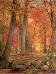 Path in the Forest, 1865