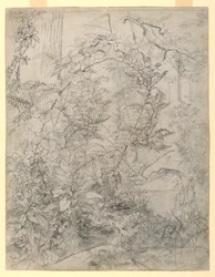 Study of Foliage