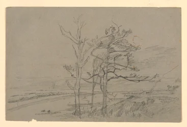 Study of Landscape