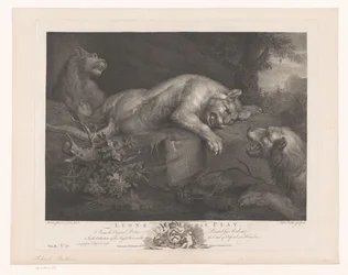 Three Lions at Play