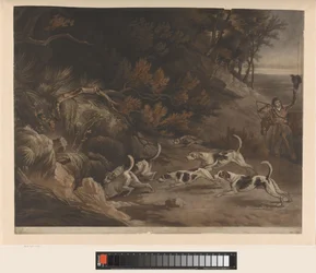 Hunter and Hunting Dogs on Fox Hunt