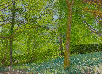 Summer Afternoon