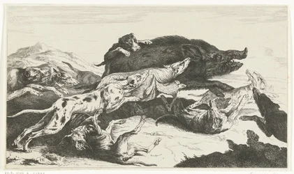 Dogs Hunting a Boar