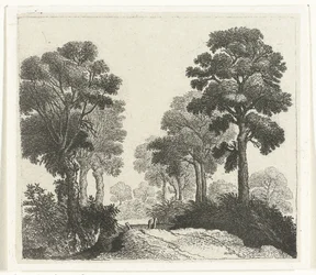 Landscape with Trees Along a Path