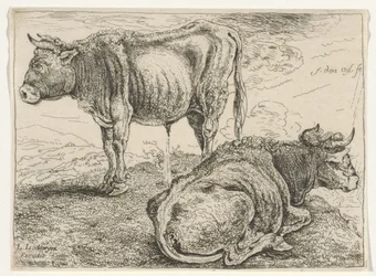 Two Oxen