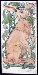 Hare