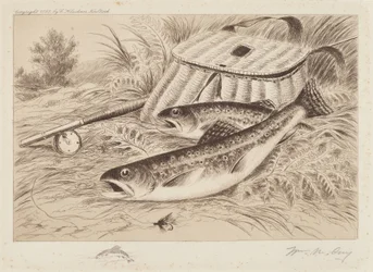 A Good Catch
