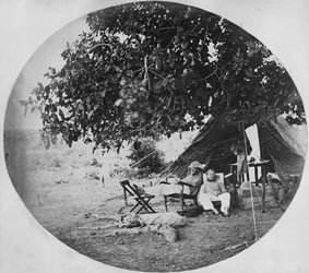 A Hot Day in the Indian Jungle