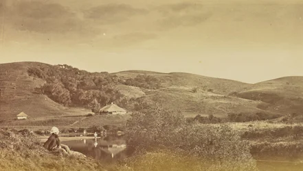 Landscape View