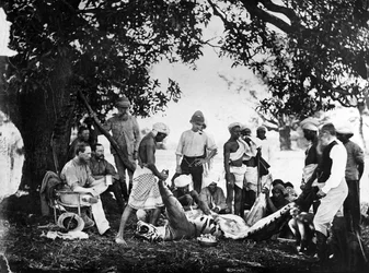 Skinning the Tiger, c.1870s