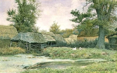 Farmyard with duck pond and ducks