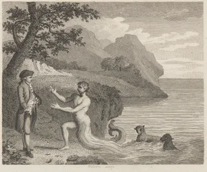 Courtier and Proteus