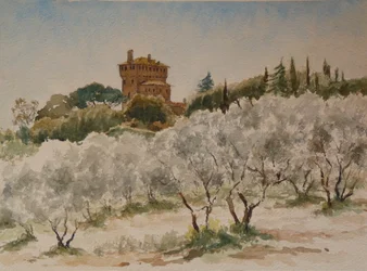 Pal Massaini, near Pienza