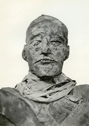 Head of the mummy of Rameses III, Ancient Egyptian pharaoh of the 20th Dynasty, c1156 BC 1926