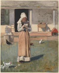 A Sick Chicken
