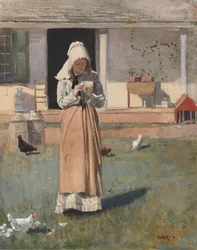 A Sick Chicken