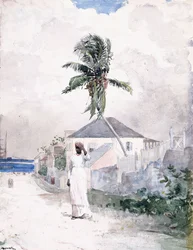 Along the Road, the Bahamas