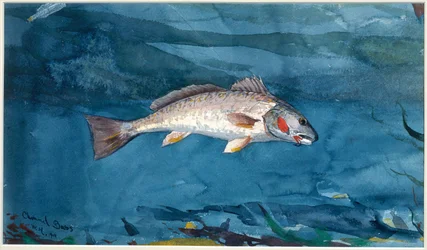 Channel Bass