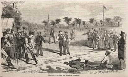 Cricket Players on Boston Common