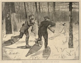 Deer-Stalking in the Adirondacks in Winter