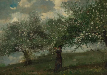 Girl Picking Apple Blossoms