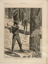 Lumbering in Winter