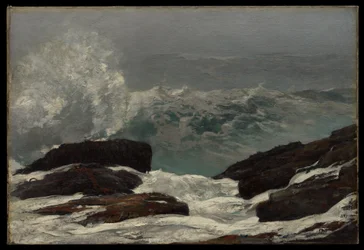 Maine Coast