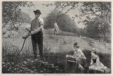 Making Hay