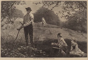 Making Hay