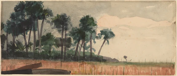Palm Trees, Red