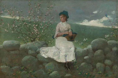 Peach Blossoms