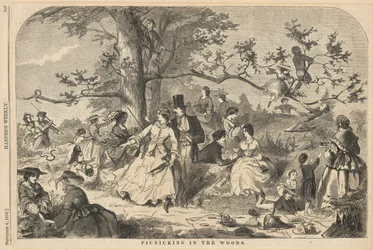 Picnicking in the Woods, from Harper