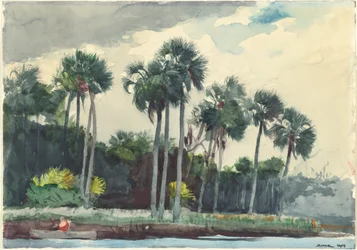 Red Shirt, Homosassa, Florida