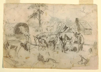 Resting Mules Tethered to Wagons