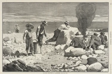 Seaside Sketches - A Clam Bake