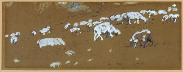 Sheep, 1878