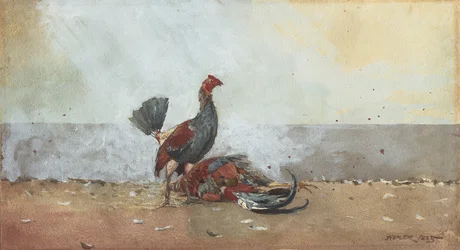 The Cock Fight