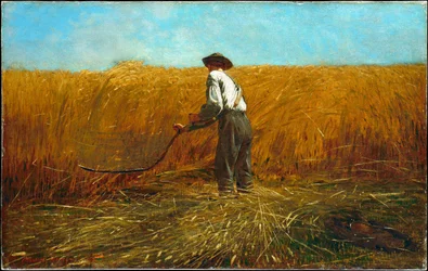 The Veteran in a New Field