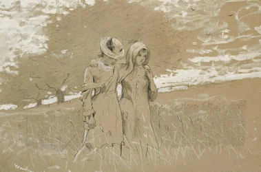 Through the Fields